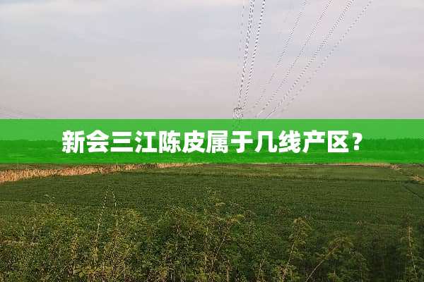 新会三江陈皮属于几线产区？