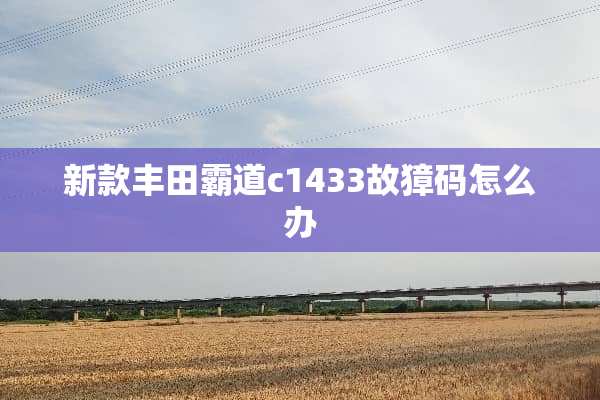 新款丰田霸道c1433故獐码怎么办