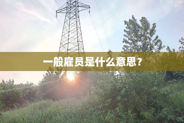 一般雇员是什么意思？