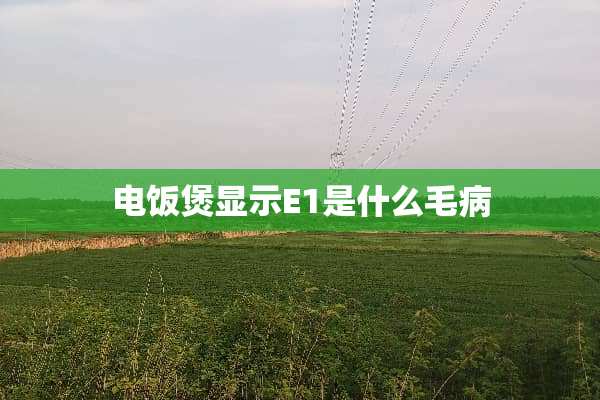 电饭煲显示E1是什么毛病