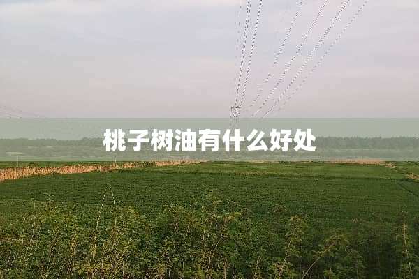 桃子树油有什么好处