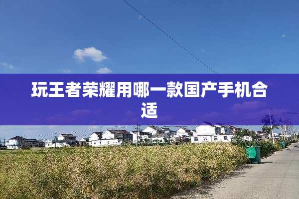 玩王者荣耀用哪一款国产手机合适