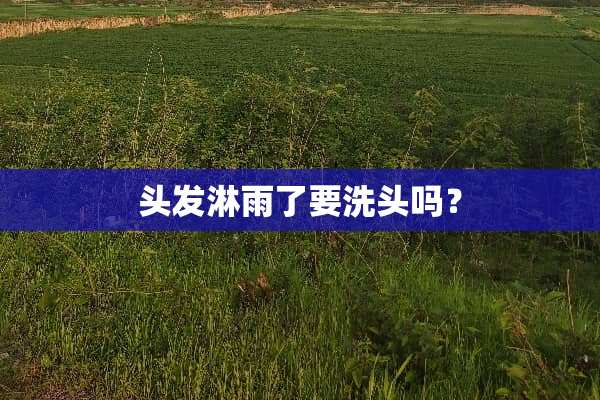 头发淋雨了要洗头吗？
