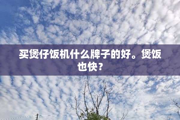 买煲仔饭机什么牌子的好。煲饭也快？
