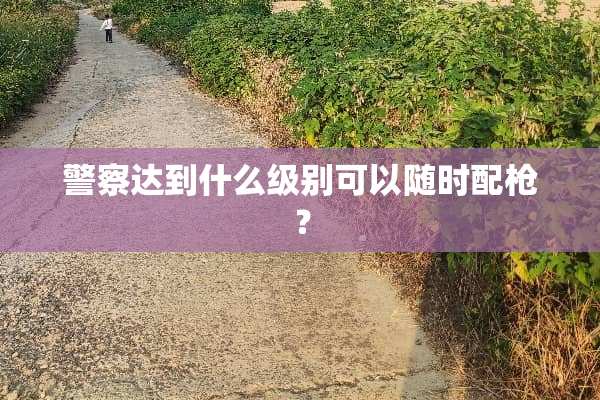 **达到什么级别可以随时配*？