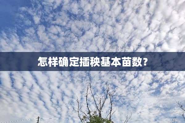 怎样确定插秧基本苗数？