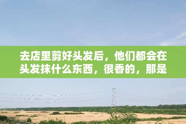 去店里剪好头发后，他们都会在头发抹什么东西，很香的，那是什么？