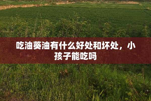 吃油葵油有什么好处和坏处，小孩子能吃吗