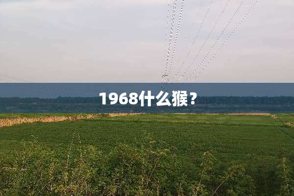 1968什么猴？