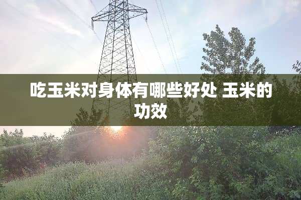 吃玉米对身体有哪些好处 玉米的功效