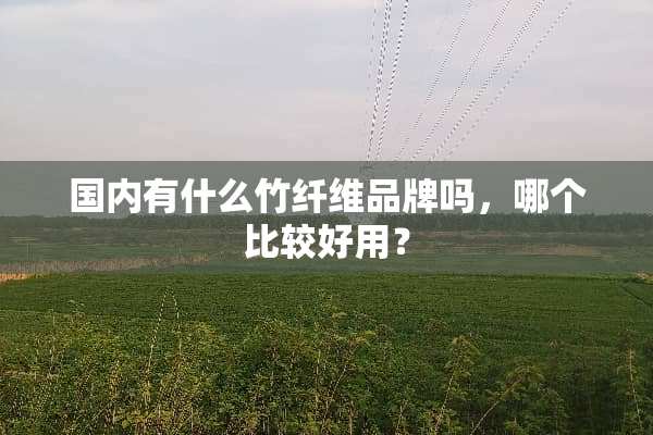 国内有什么竹纤维品牌吗，哪个比较好用？