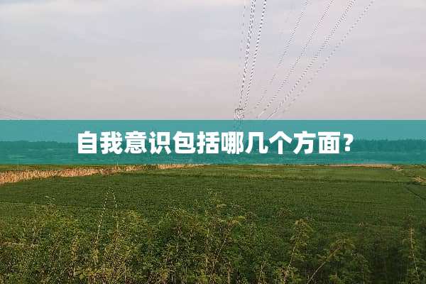 自我意识包括哪几个方面？