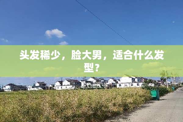 头发稀少，脸大男，适合什么发型？