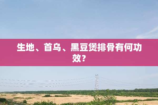 生地、首乌、黑豆煲排骨有何功效？