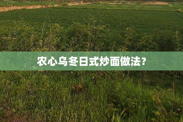 农心乌冬日式炒面做法？