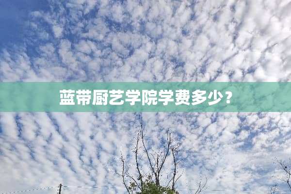 蓝带厨艺学院学费多少？