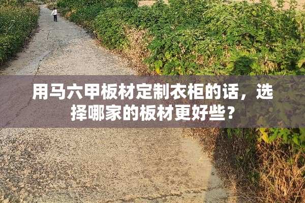 用马六甲板材定制衣柜的话，选择哪家的板材更好些？