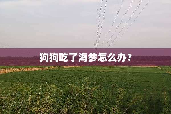 狗狗吃了海参怎么办？