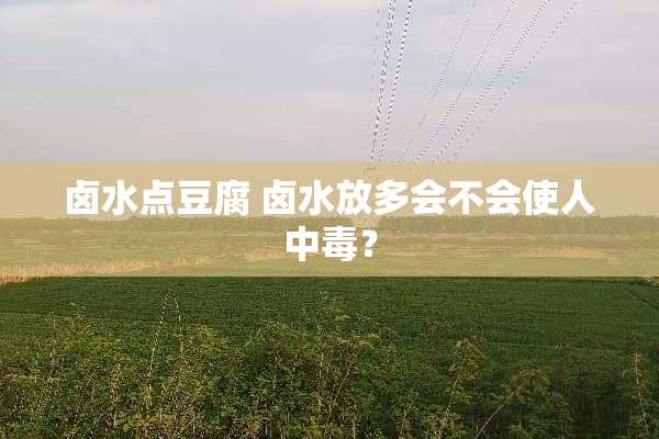 卤水点豆腐 卤水放多会不会使人中毒？