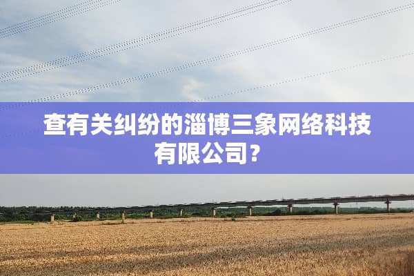 查有关纠纷的淄博三象网络科技有限公司？