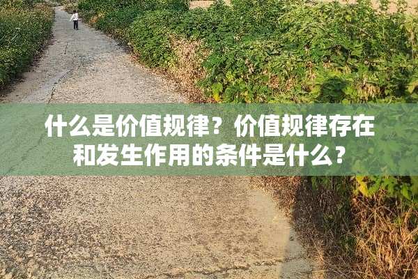 什么是价值规律？价值规律存在和发生作用的条件是什么？