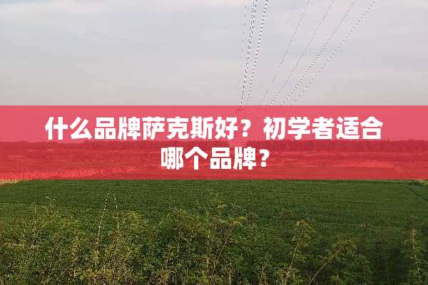 什么品牌萨克斯好？初学者适合哪个品牌？