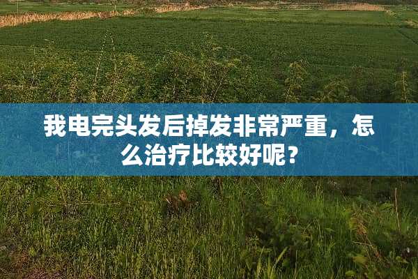 我电完头发后掉发非常严重，怎么治疗比较好呢？
