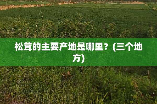 松茸的主要产地是哪里？(三个地方)