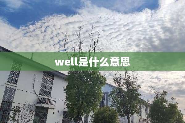 well是什么意思