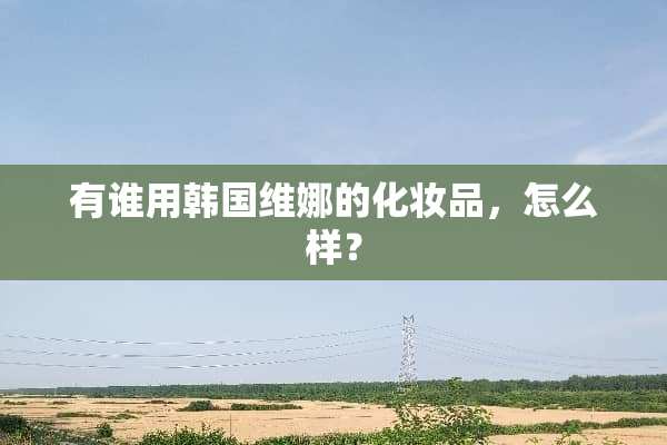 有谁用韩国维娜的化妆品，怎么样？