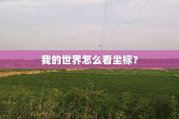 我的世界怎么看坐标？