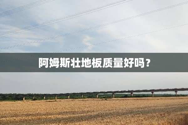 阿姆斯壮地板质量好吗？