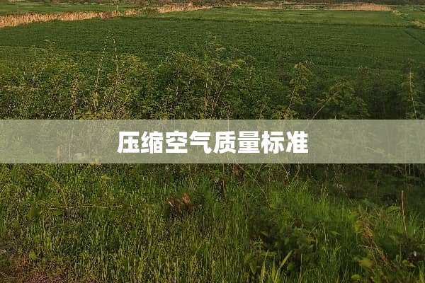 压缩空气质量标准