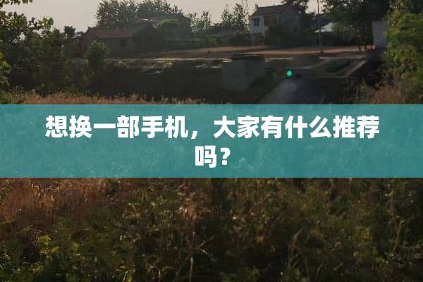 想换一部手机，大家有什么推荐吗？