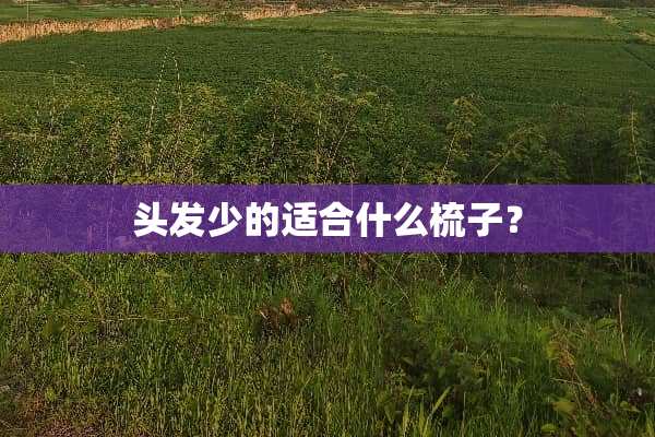 头发少的适合什么梳子？