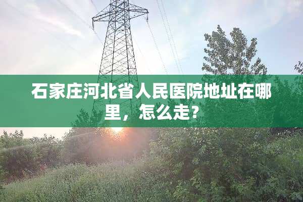 石家庄河北省人民医院地址在哪里，怎么走？