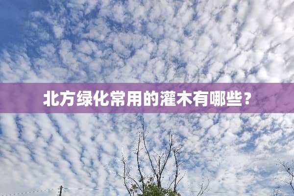 北方绿化常用的灌木有哪些？