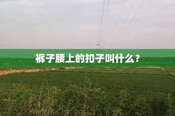 裤子腰上的扣子叫什么？