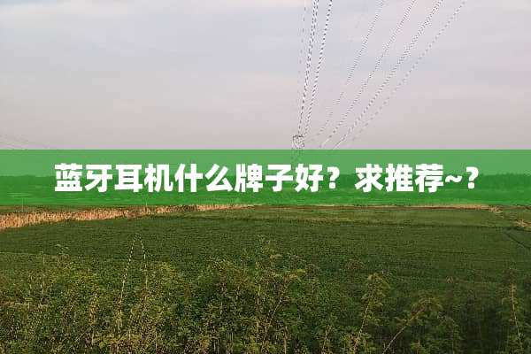 蓝牙耳机什么牌子好？求推荐~？