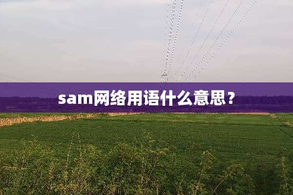 sam网络用语什么意思？