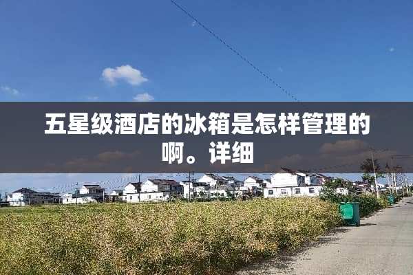 五星级酒店的冰箱是怎样管理的啊。详细