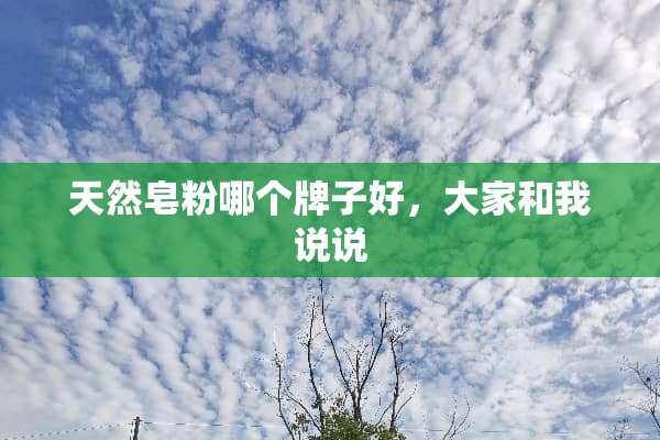 天然皂粉哪个牌子好，大家和我说说