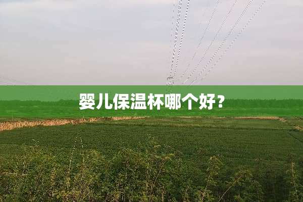 婴儿保温杯哪个好？