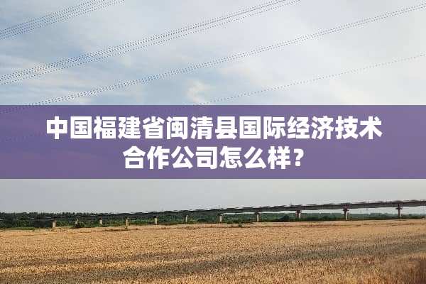 中国福建省闽清县国际经济技术合作公司怎么样？