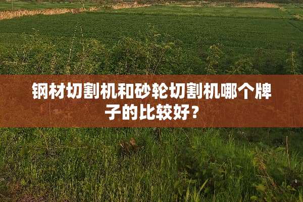 钢材切割机和砂轮切割机哪个牌子的比较好？