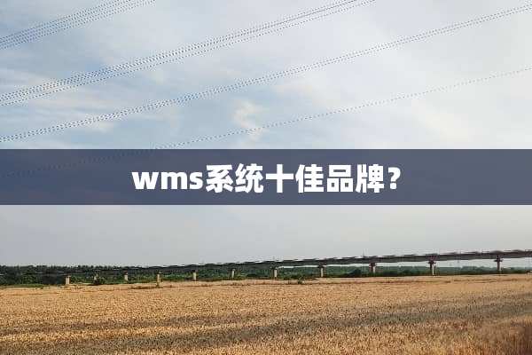 wms系统十佳品牌？