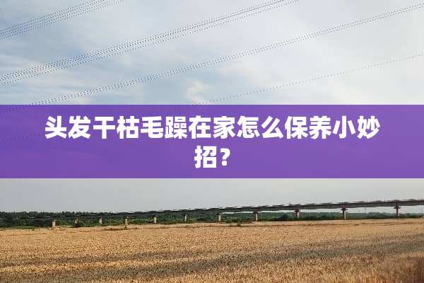 头发干枯毛躁在家怎么保养小妙招？