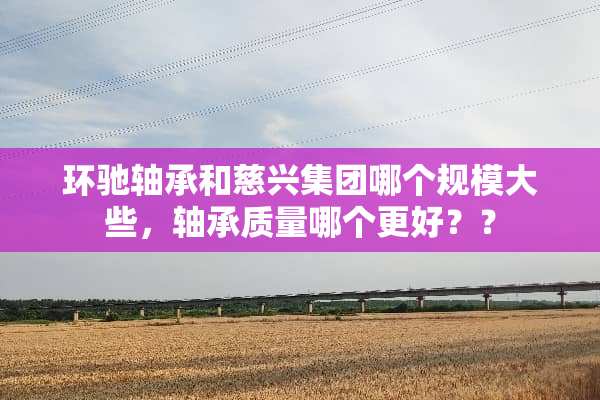 环驰轴承和慈兴集团哪个规模大些，轴承质量哪个更好？？