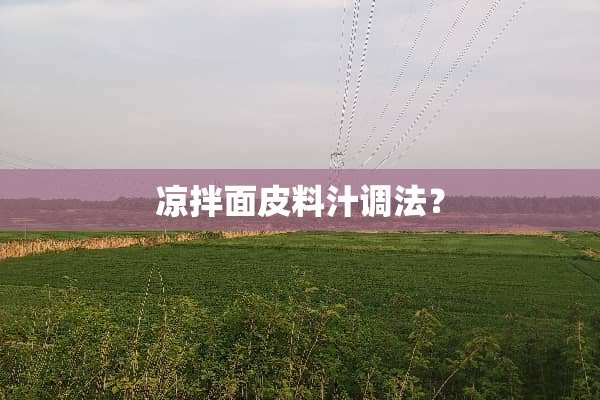 凉拌面皮料汁调法？