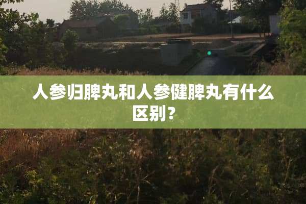 人参归脾丸和人参健脾丸有什么区别？